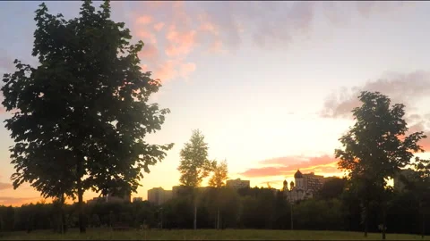 Trees in Park At Sunset in summer evening Timelapse 스톡 동영상 87218825