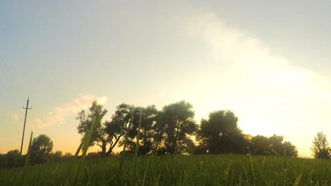 Trees in the park at sunset timelapse Stock Footage 87210941