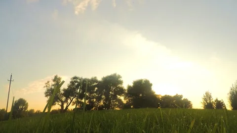 Trees in a park at sunset timelapse Stockbeeldmateriaal 87211122
