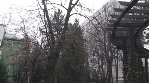 Trees In Park Tilt-Shot Stock Footage 34389623