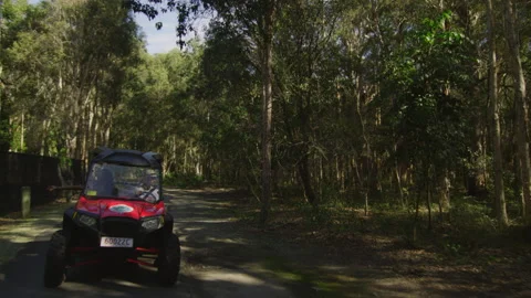 Trees passing by against sky tilting down to reveal couple in ATV vehicle drivin Stock Footage 199456768