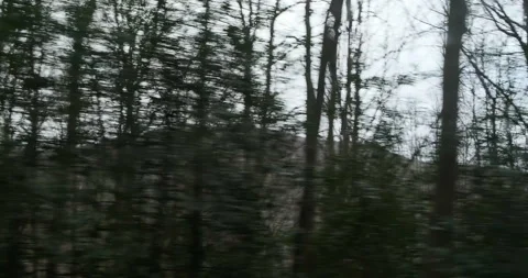 Trees passing with a mountain on the back Stock Footage 175665155