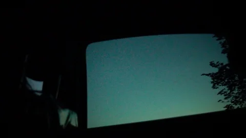 Trees Passing By Through Window, Driving Car, Slow Motion Stock Footage 92733158