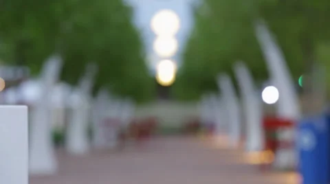 Trees in pavilion Stock Footage 29097934