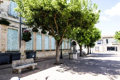 Trees Stock Photos