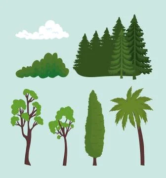 Trees pines palm cloud and shrub vector design 스톡 일러스트