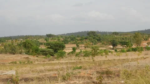 Trees in the plain area, Mountain view Video stock 156961827