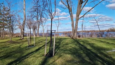 Trees planted in the park Stock Footage 330970601