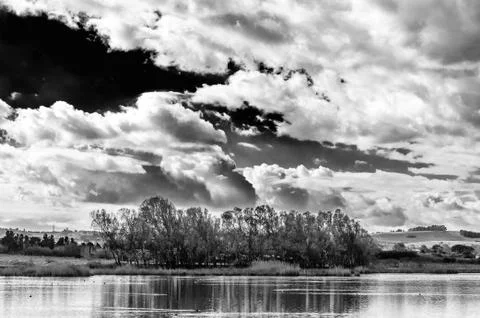 Trees on the pond under a dramatic sky Foto stock