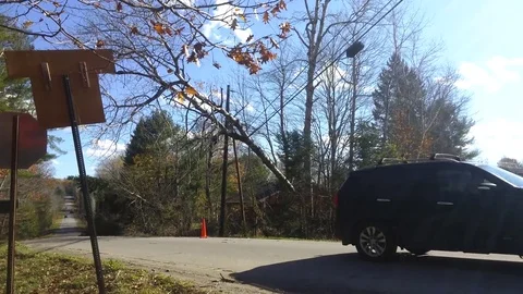 Trees On Power Lines Stock Footage 81733465