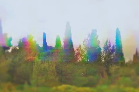 Trees with prism reflections Stock Photos