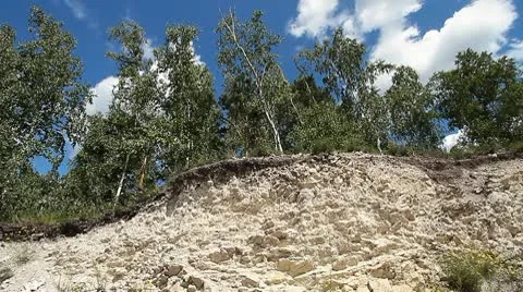 Trees in quarry 11 Stock Footage 10578257