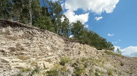 Trees in quarry 13 Stock Footage 10578263
