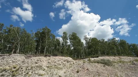 Trees in quarry 2 Stock Footage 10578221