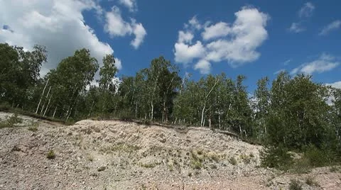Trees in quarry 4 Stock Footage 10578203