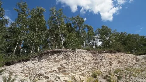 Trees in quarry 7 Stock Footage 10578259