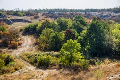 Trees at quarry Stock Photos