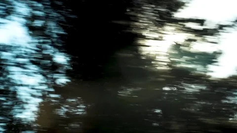 Trees quickly pass over sun Stock Footage 79475638