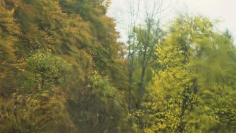 Trees in rainy autumn through blurred window Stock Footage 119905974