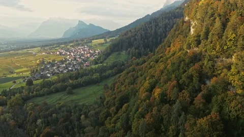 Trees in red and orange colors in autumn, great autumn day in switzerland Stock Footage 206974311