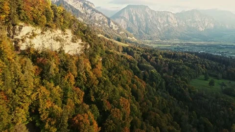 Trees in red and orange colors in autumn, great autumn day in switzerland Stock Footage 206977609