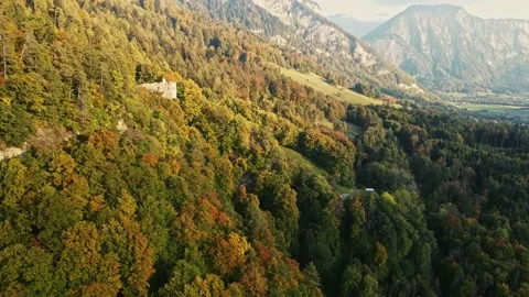 Trees in red and orange colors in autumn, great autumn day in switzerland Stock Footage 206978015