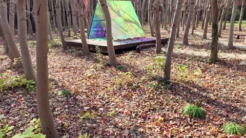 Trees reflected in an art installation mirror on a sunny winter day Stock Footage 295167783