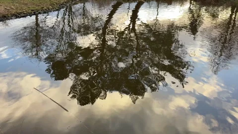 Trees reflected in the canal Vidéo 327096806