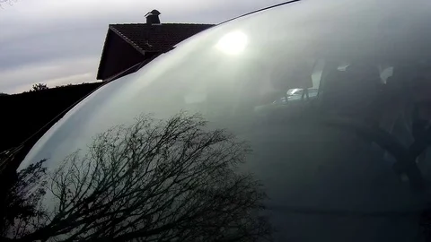 Trees reflected in car window. Windshield reflection. Car driving on a Country Stock Footage 73414868