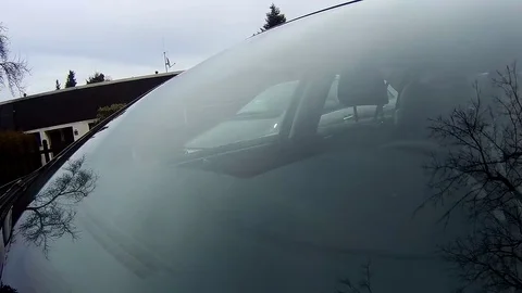Trees reflected in car window. Windshield reflection. Car driving on a Country Stock Footage 73416536