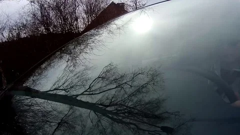 Trees reflected in car window. Windshield reflection. Car driving on a Country Stock Footage 73418058