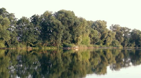 Trees reflected in a lake Video stock 54795376
