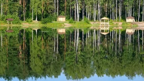 Trees reflected in the lake Stock-Footage 79726113