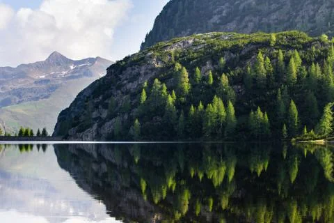 Trees Reflected in the Lake Stock Photos