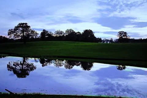 Trees reflected in lake Stock Photos