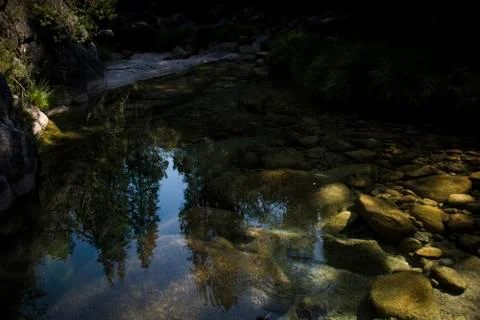 Trees reflected on lake Stock Photos