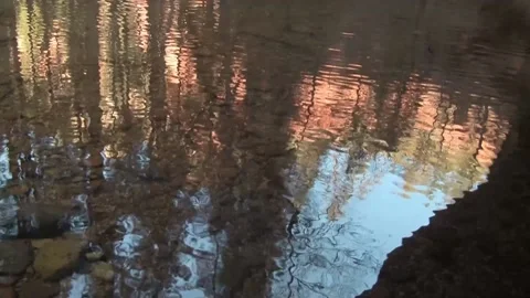 Trees Reflected in Oak Creek — Oak Creek Canyon, Sedona, Arizona Stockbeeldmateriaal 194352177
