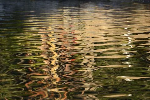 Trees reflected in the ocean, Conover Cove, Wallace Island, Gulf Islands, Bri Stock Photos