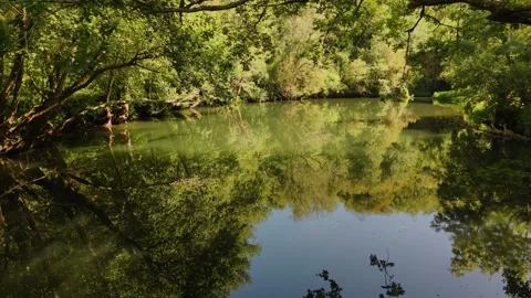 Trees Reflected Over The Waters Of Deza River Stock Footage 338276982