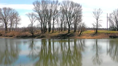 Trees Reflected In River Stock Footage 49669818