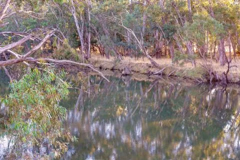 Trees Reflected On The River Water Stock Photos