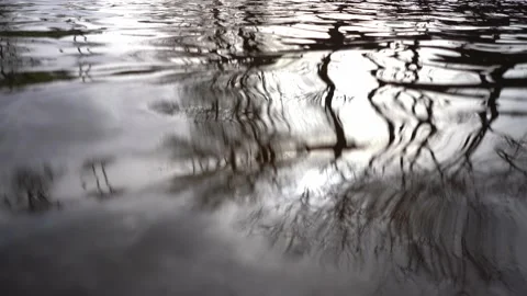 Trees reflected in the river water texture Stock Footage 272337671