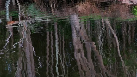 Trees reflected on the surface of a bay in the early morning. Video stock 126331481