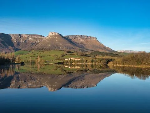 Trees reflected on a tranquil lake surface - A beautiful landscape with a l.. Stock Photos