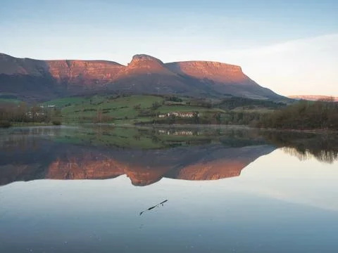 Trees reflected on a tranquil lake surface - A beautiful landscape with a l.. Stock Photos