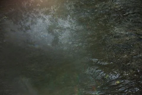 Trees reflected in water in a flowing stream Stock Photos