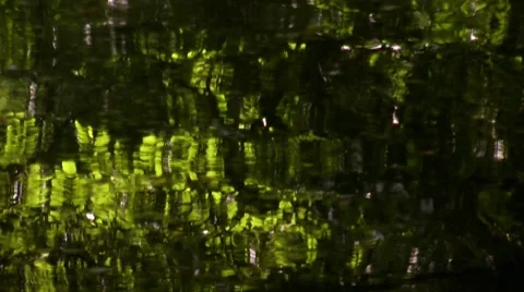 Trees reflected in water of a mountain stream Stock Footage 7766762