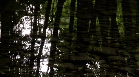 Trees reflected in water of a mountain stream Stock Footage 7766898