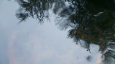 Trees reflected in water with ripples 스톡 동영상 650892