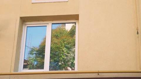 Trees reflected in the window of the building, outside. copy space Stock-Footage 128503415